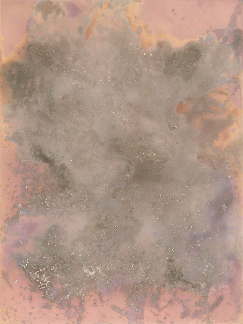 © Alessandra Carosi - Photogram, sea water on photographic paper, 30,5x40,5 cm, unique piece.