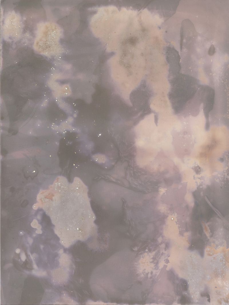 © Alessandra Carosi - Photogram, sea water on photographic paper, 30,5x40,5 cm, unique piece.