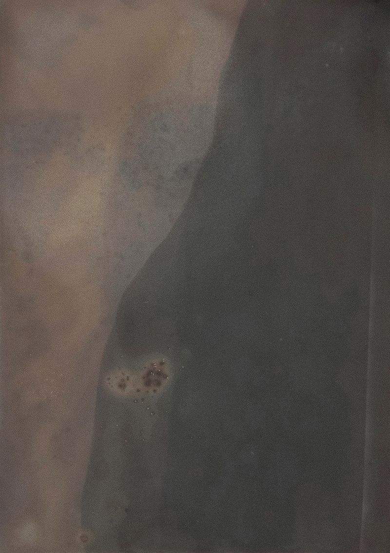 © Alessandra Carosi - Photogram, sea water on photographic paper, 18x24 cm, unique piece.