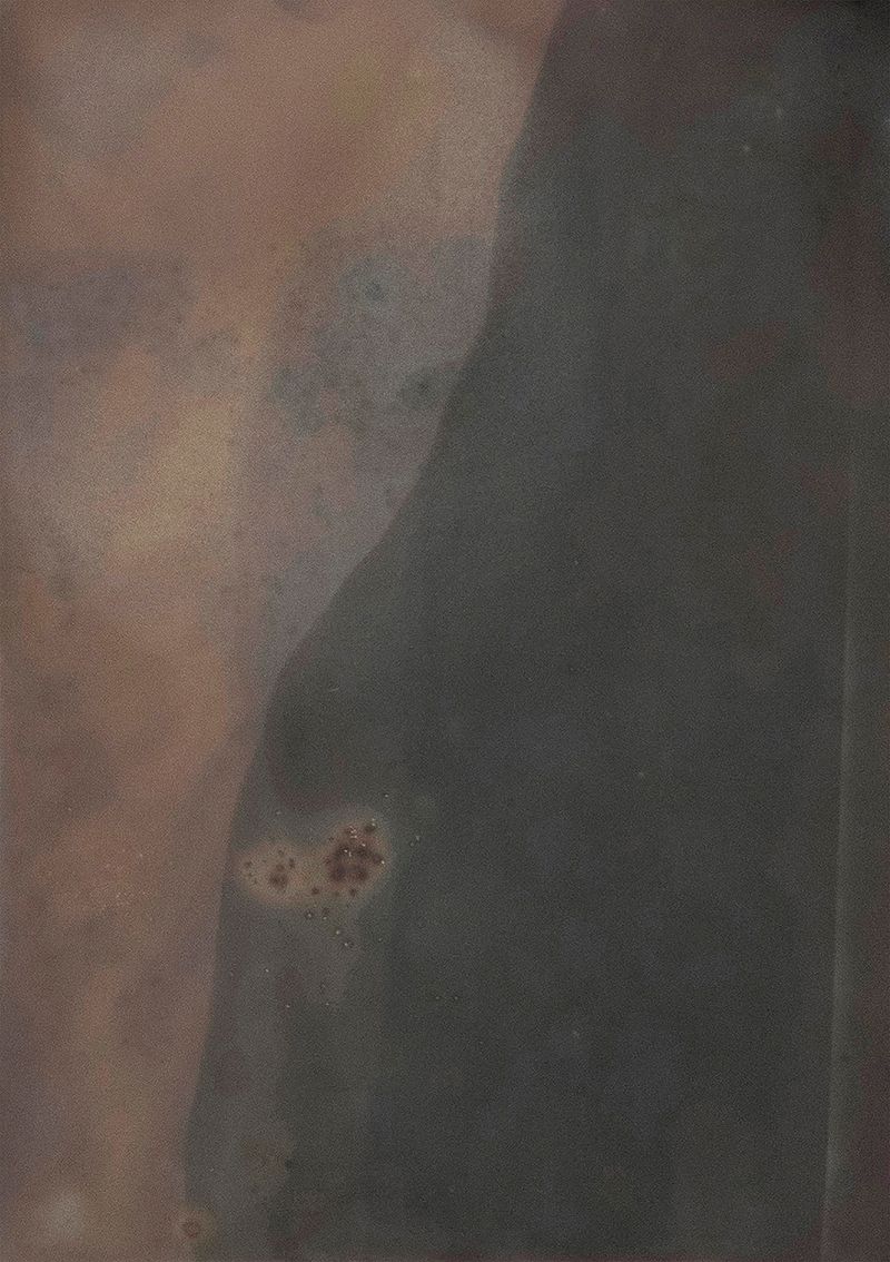 © Alessandra Carosi - Photogram, sea water on photographic paper, 18x24 cm, unique piece.