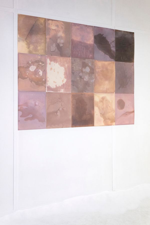 © Alessandra Carosi - Installation view.Salt,15 Photograms, photographic papers, 152 x121cm, 30,5x40,5 cm each. Unique pieces.