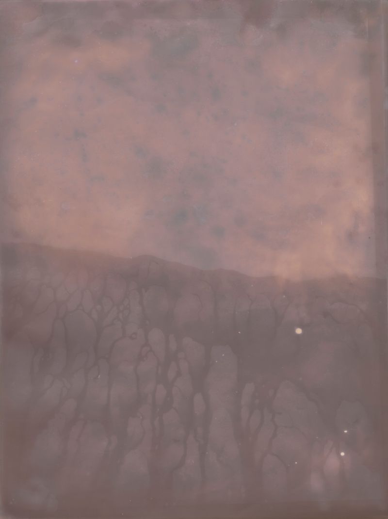 © Alessandra Carosi - Photogram, sea water on photographic paper, 30,5x40,5 cm, unique piece.