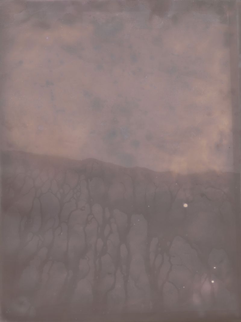 © Alessandra Carosi - Photogram, sea water on photographic paper, 30,5x40,5 cm, unique piece.