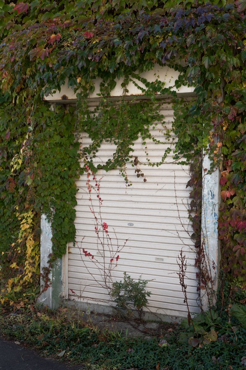 © Alessandra Carosi - Hidden nature