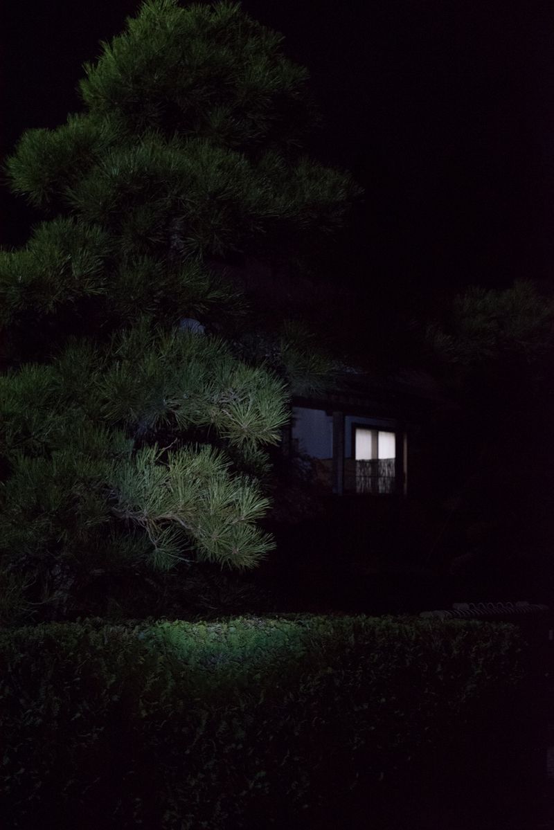 © Alessandra Carosi - Silence and darkness