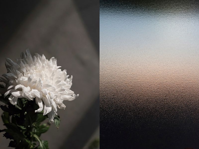 © Alessandra Carosi - Image from the Hiding photography project