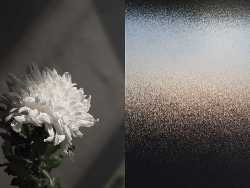 © Alessandra Carosi - Image from the Hiding photography project