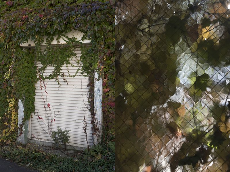 © Alessandra Carosi - Hidden nature