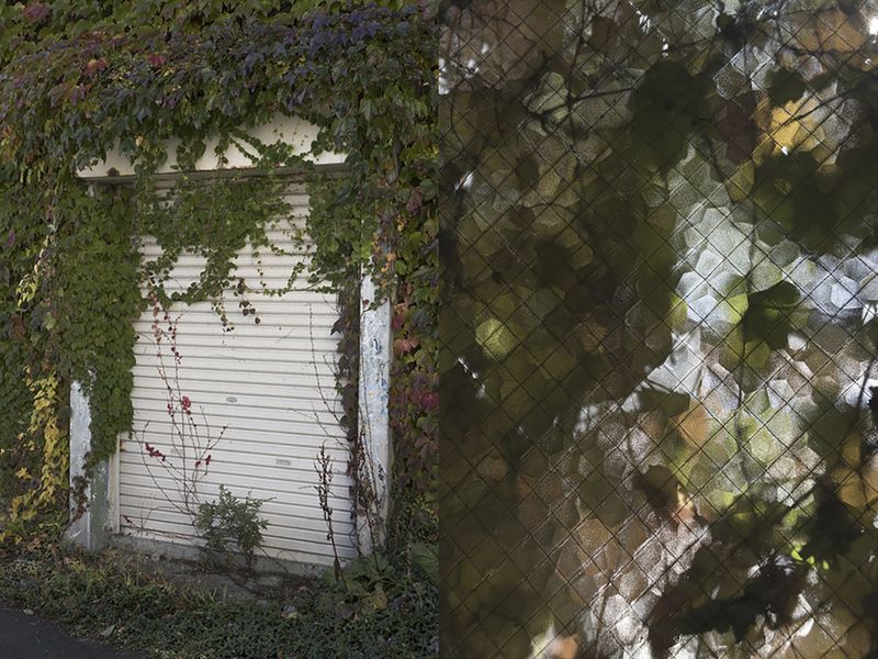 © Alessandra Carosi - Hidden nature