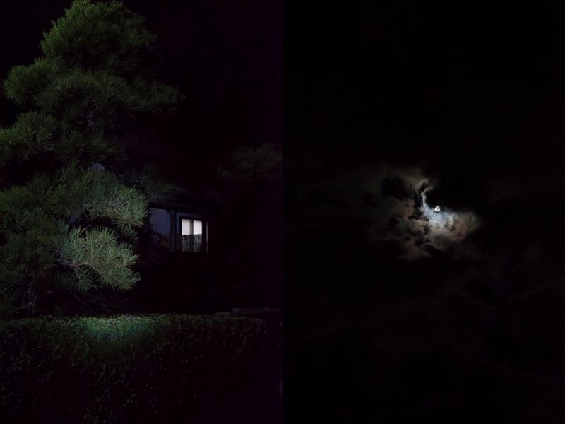 © Alessandra Carosi - Image from the Hiding photography project