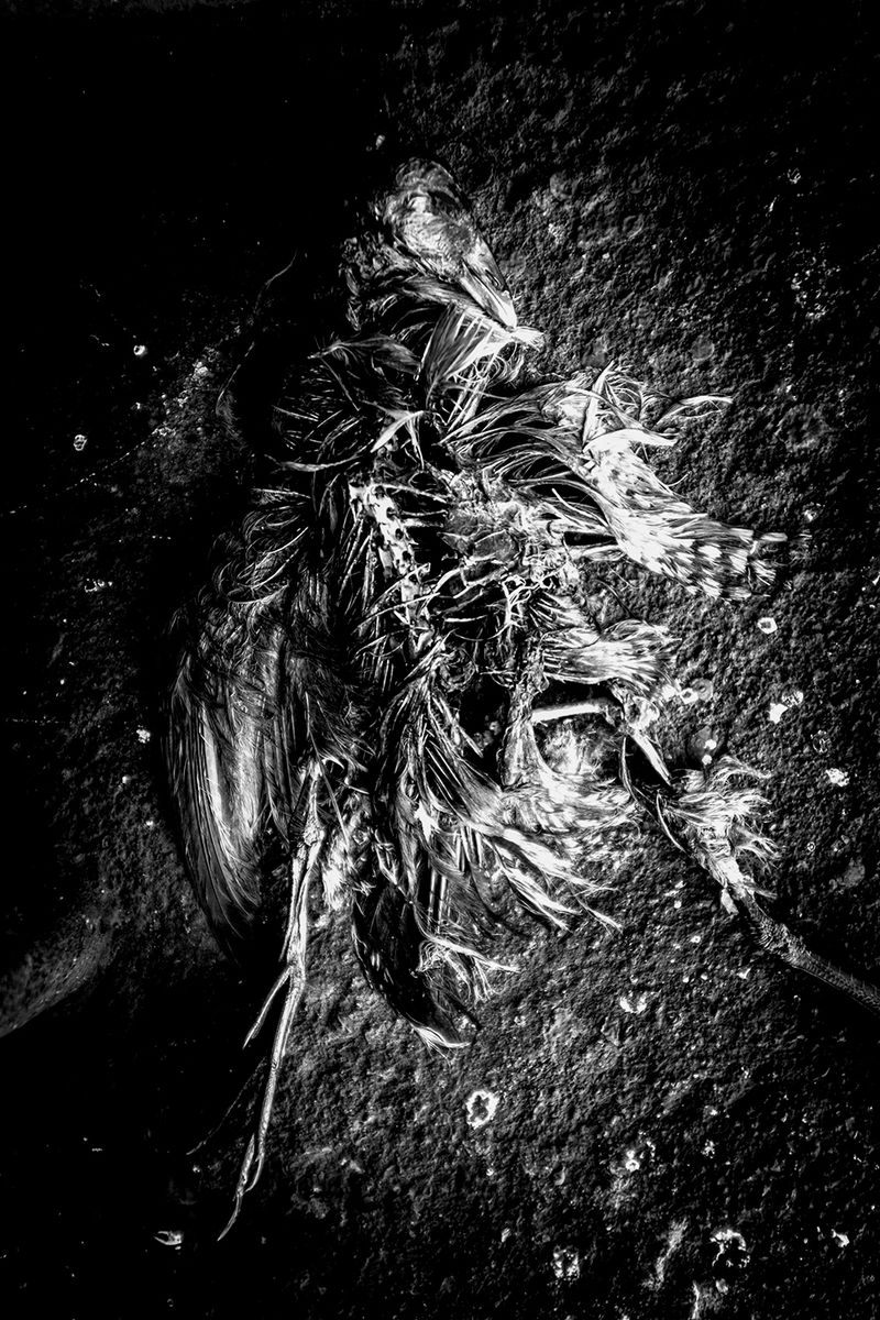 © Ignacio Iturrioz - Image from the Purgatorio photography project