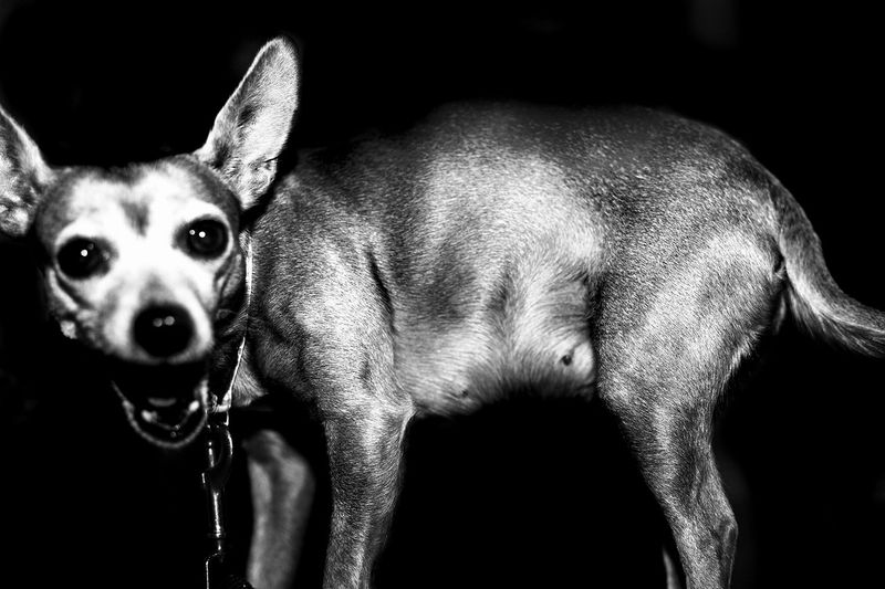 © Ignacio Iturrioz - Image from the Purgatorio photography project