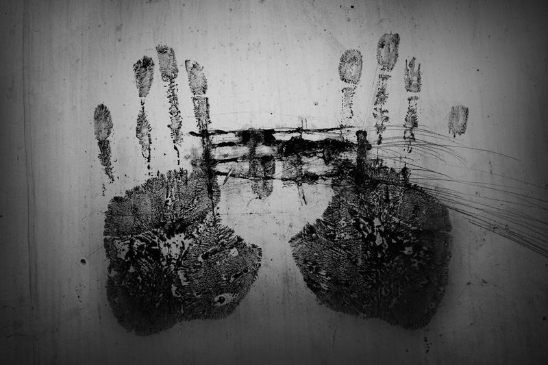 © Scott Typaldos - Image from the BUTTERFLIES CHAPTER 4 photography project