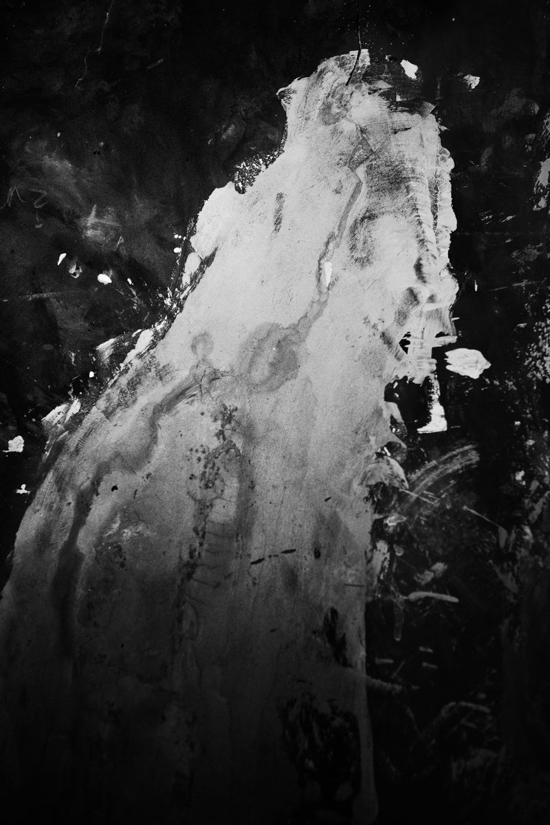 © Scott Typaldos - Image from the BUTTERFLIES / CHAPTER 4 photography project