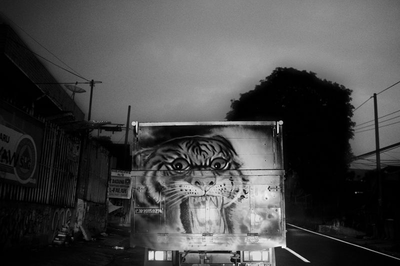 © Scott Typaldos - Image from the BUTTERFLIES / CHAPTER 4 photography project