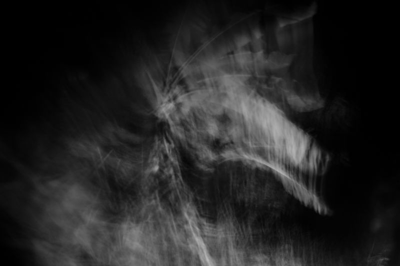 © Scott Typaldos - Image from the BUTTERFLIES / CHAPTER 4 photography project