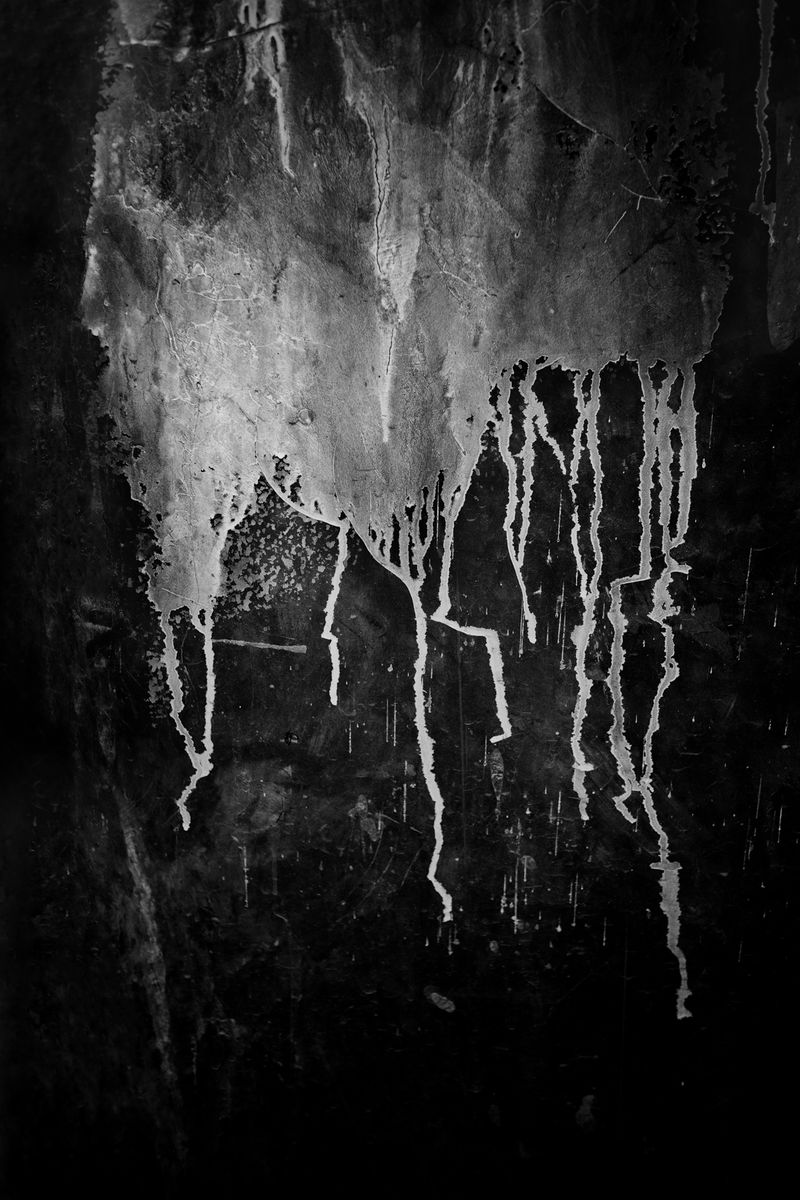© Scott Typaldos - Image from the BUTTERFLIES / CHAPTER 4 photography project