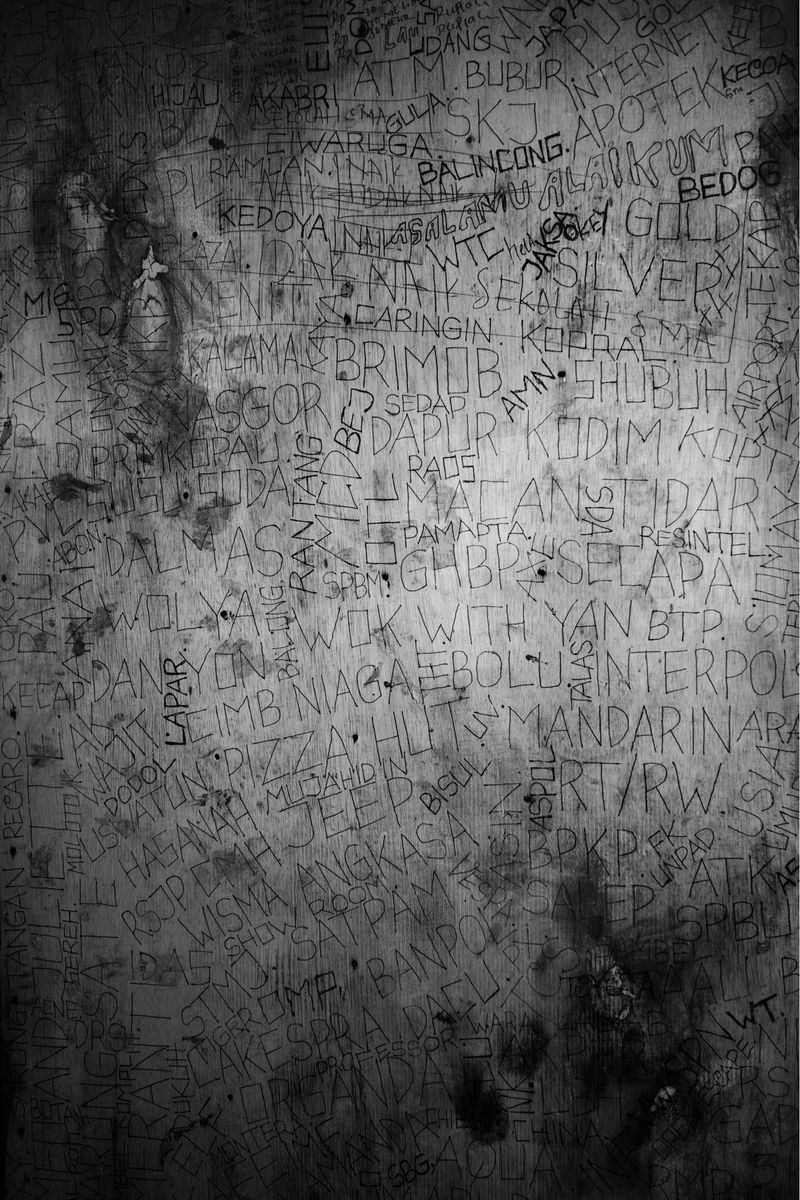 © Scott Typaldos - Image from the BUTTERFLIES / CHAPTER 4 photography project