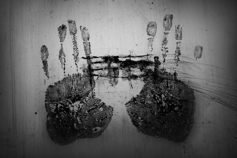 © Scott Typaldos - Image from the BUTTERFLIES / CHAPTER 4 photography project