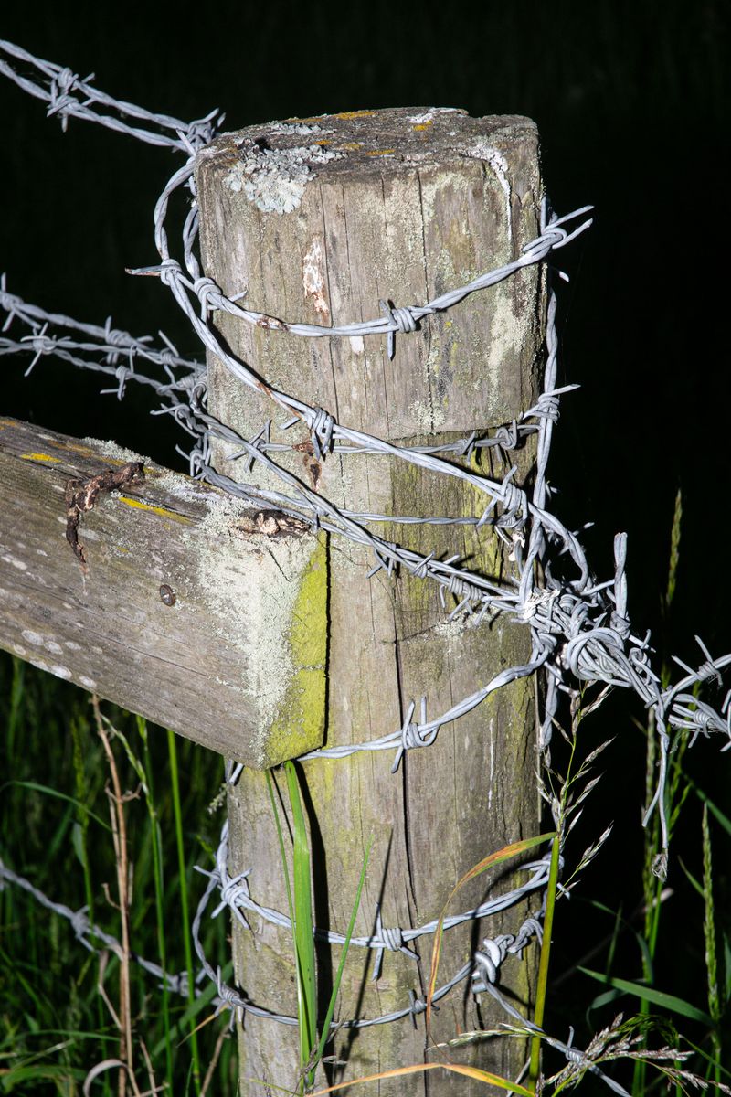 © Barnaby Chinnock - Image from the Veneers photography project