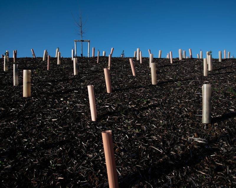 © Barnaby Chinnock - Image from the Veneers photography project