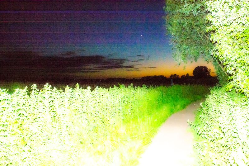 © Barnaby Chinnock - Image from the Veneers photography project