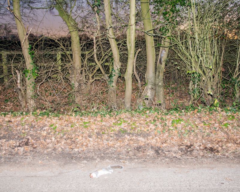 © Barnaby Chinnock - Image from the Veneers photography project