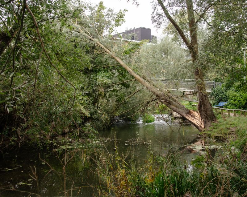 © Barnaby Chinnock - Image from the Veneers photography project