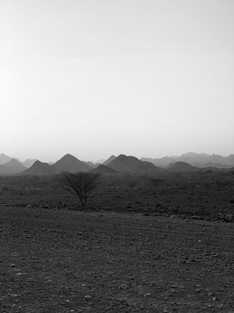 © Aseel Swaid - Image from the Window photography project