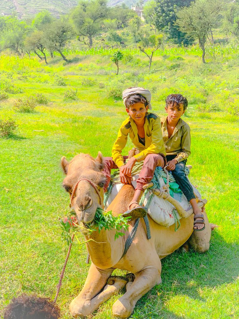 © Aseel Swaid - Image from the Window photography project