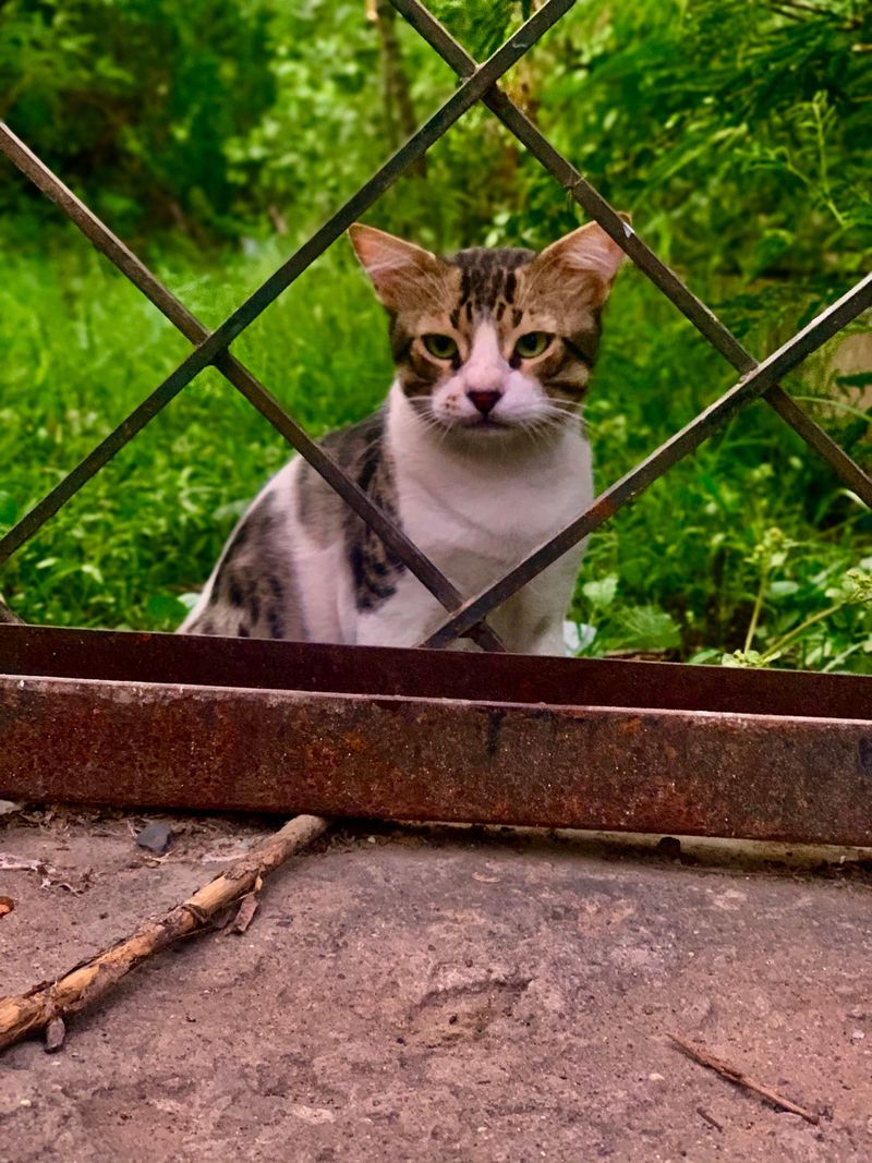 © Aseel Swaid - Image from the Window photography project