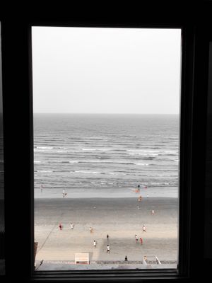 Window