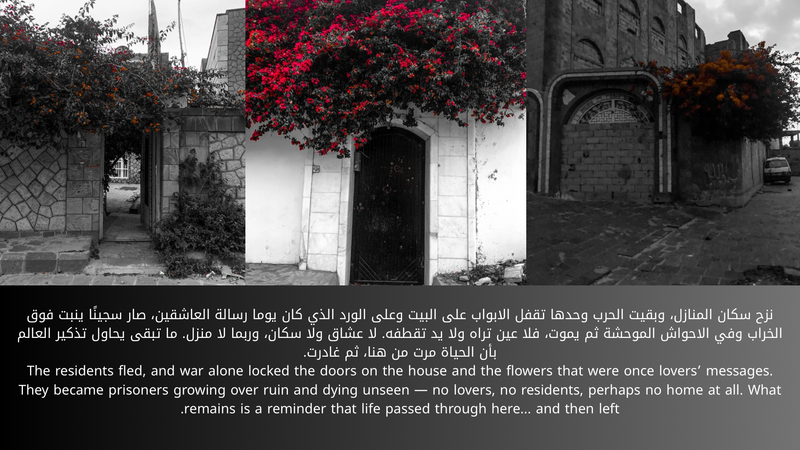 © Aseel Swaid - Image from the Light photography project