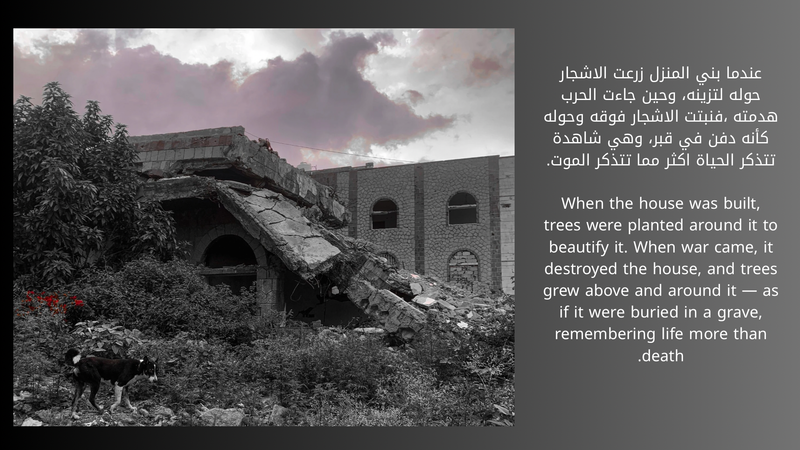 © Aseel Swaid - Image from the Light photography project