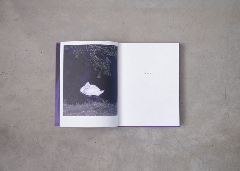 Image from a project on PhMuseum
