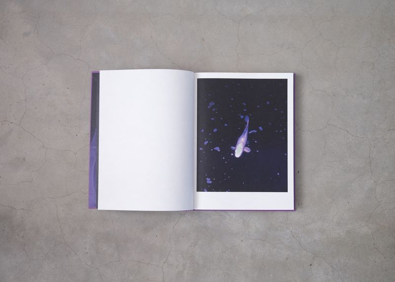 Image from a project on PhMuseum