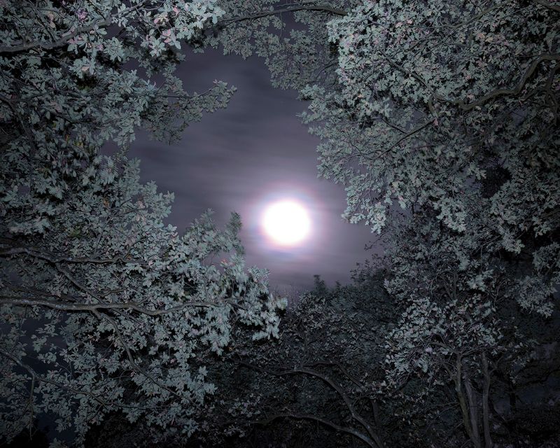 © Marinos Tsagkarakis - Image from the Strawberry Blue photography project