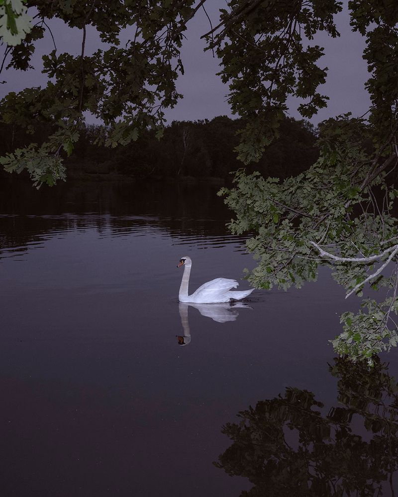 © Marinos Tsagkarakis - Image from the Strawberry Blue photography project