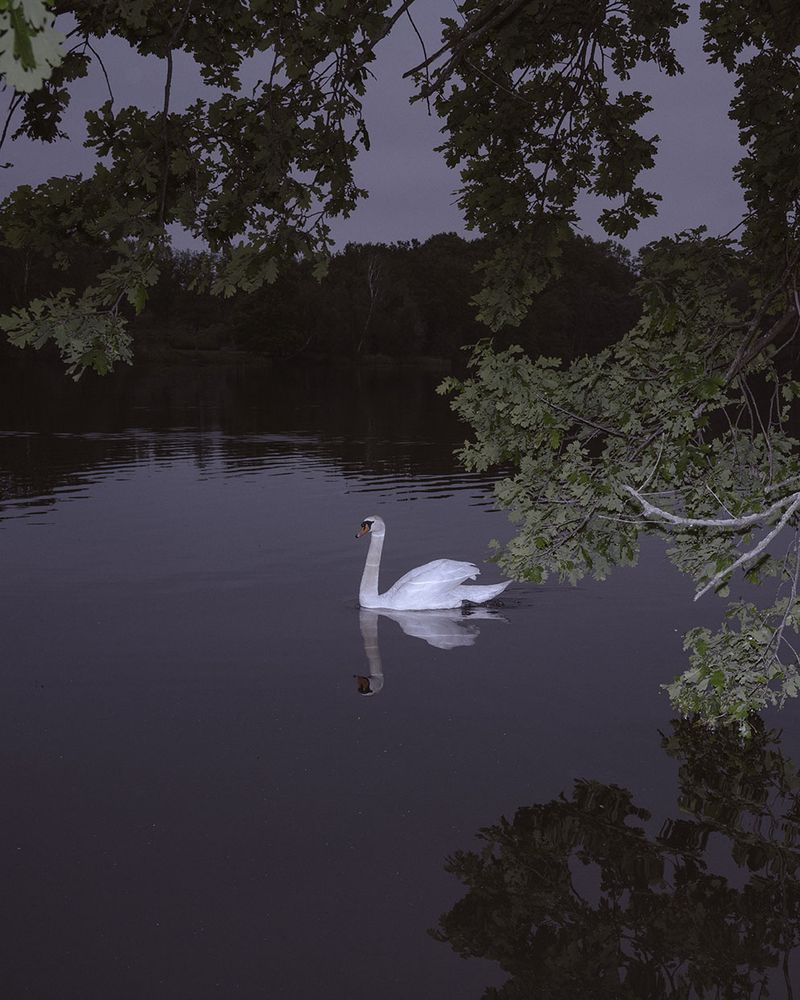 © Marinos Tsagkarakis - Image from the Strawberry Blue photography project