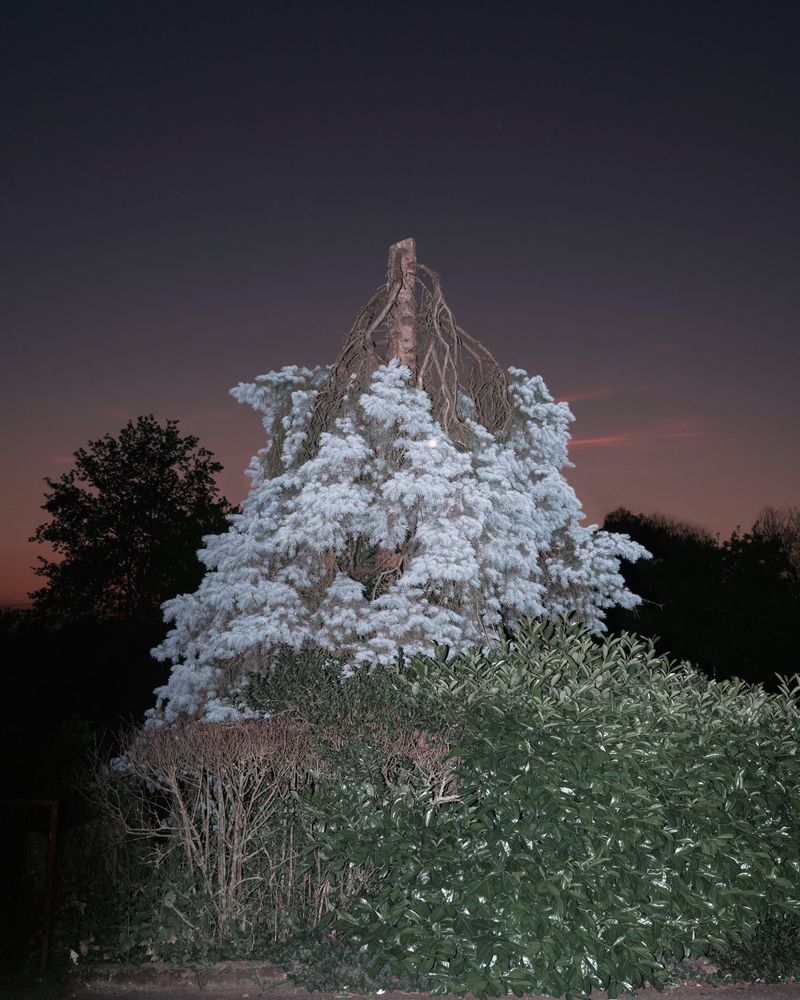 © Marinos Tsagkarakis - Image from the Strawberry Blue photography project