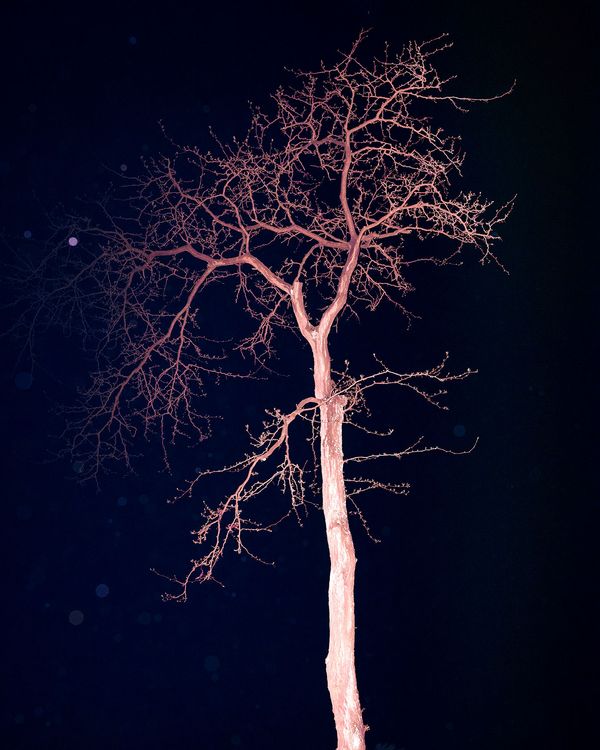 © Marinos Tsagkarakis - Image from the Strawberry Blue photography project