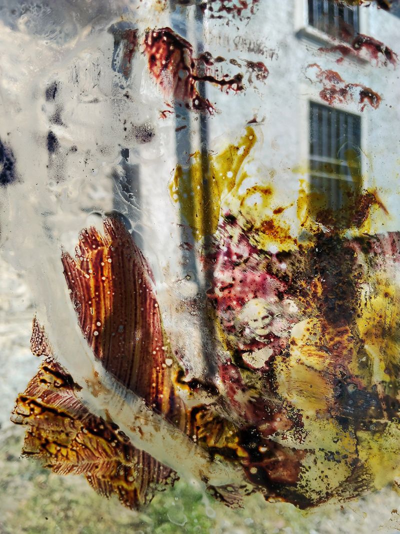 © Paolo Barti - Image from the Telecchio, 2025 photography project