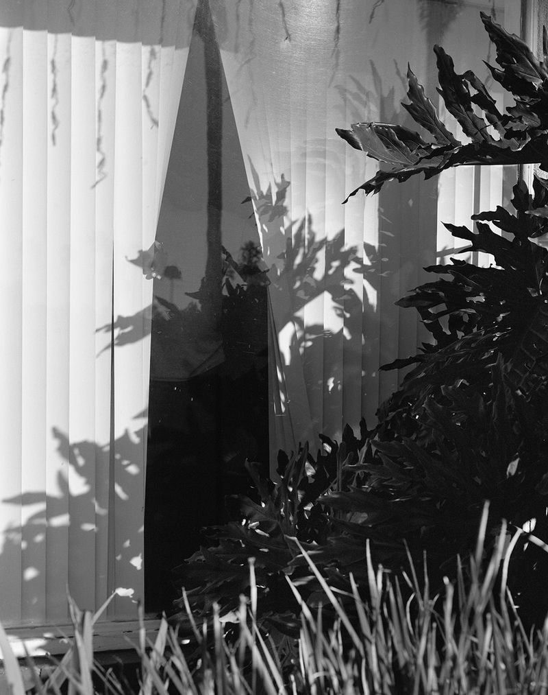 © Dannielle Bowman - "October's Shadows (II)" 2019 24in x 30in