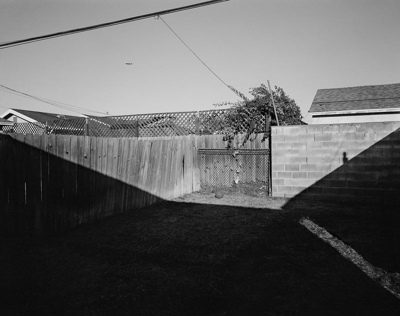 © Dannielle Bowman - "Inglewood I" 2019 20in x 25in