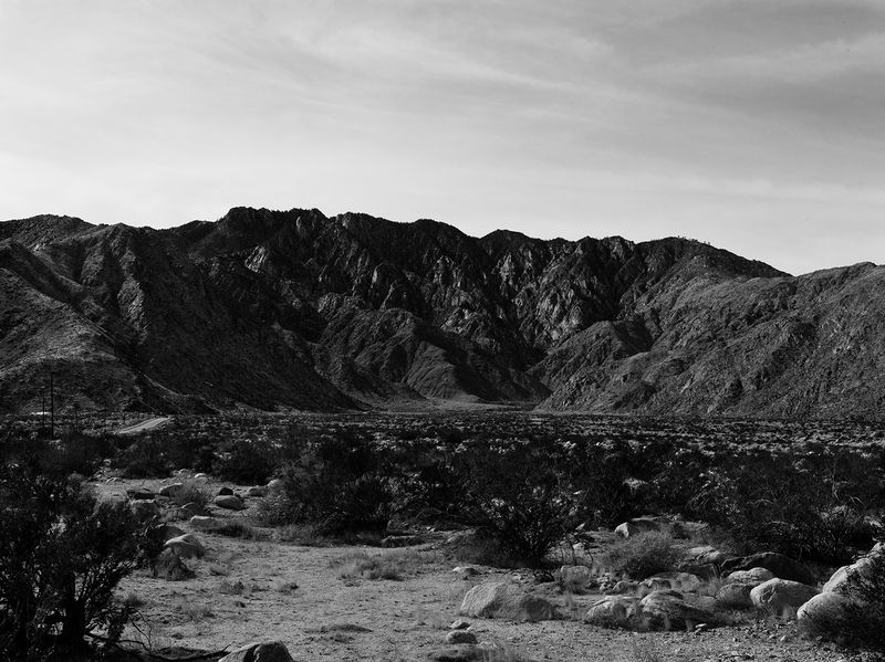 © Dannielle Bowman - Untitled, 2017