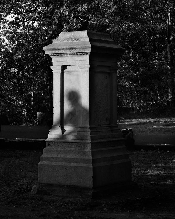 © Dannielle Bowman - Shadow, 2017