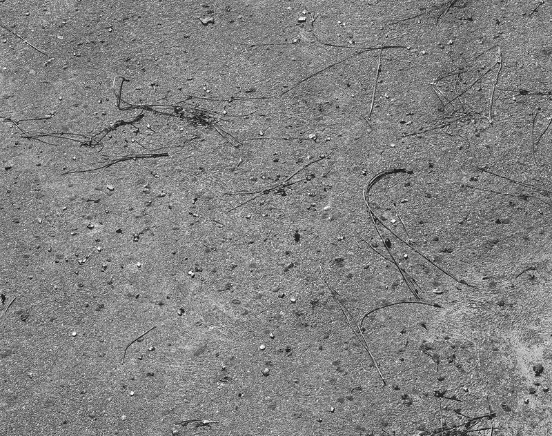 © Dannielle Bowman - "Sap" 2019 24in x 30in