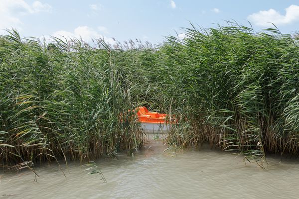 © Gianluca Abblasio - Image from the Balaton  -  The Hungarian Sea photography project