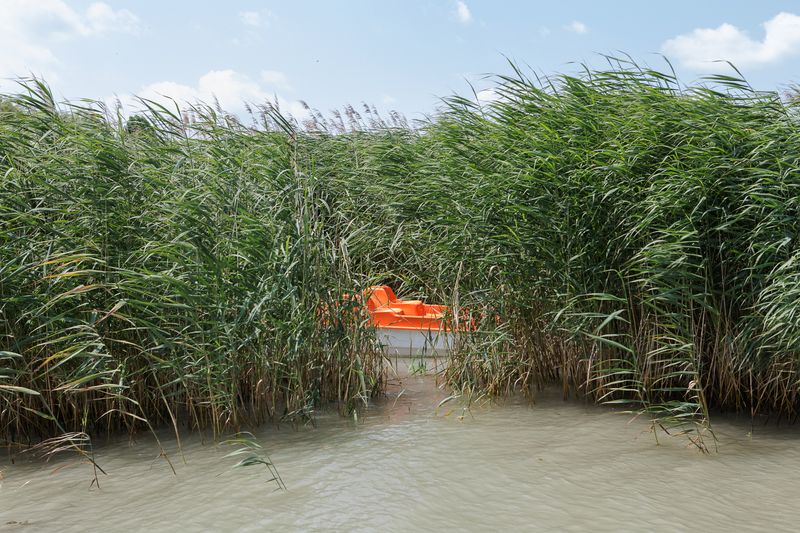 © Gianluca Abblasio - Image from the Balaton  -  The Hungarian Sea photography project