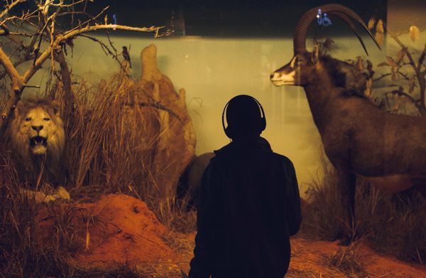 Image from a project on PhMuseum